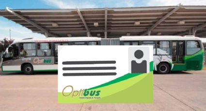 Pagobus en León: tarjeta de transporte público dará beneficio a los usuarios