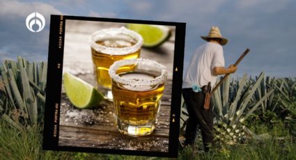 Los 3 tequilas más premium y que consume la clase alta ¡revisa el precio!