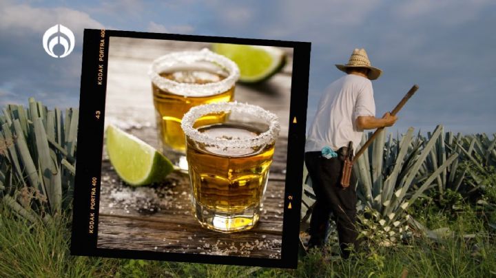 Los 3 tequilas más premium y que consume la clase alta ¡revisa el precio!