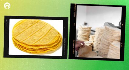 Tortilla de maíz amarilla o tortilla blanca: ¿Cuál es mejor?