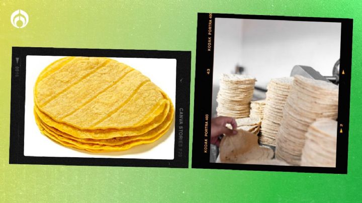 Tortilla de maíz amarilla o tortilla blanca: ¿Cuál es mejor?