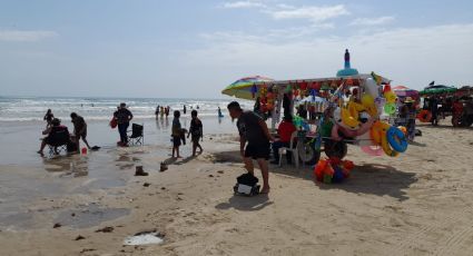 ¿Y mi vuelve a la vida? Este marisco no puede ser comercializado ni consumido por la ola de calor