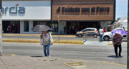 Comerciantes piden a CFE que renueve instalaciones para evitar bajones de energía ante ola de calor