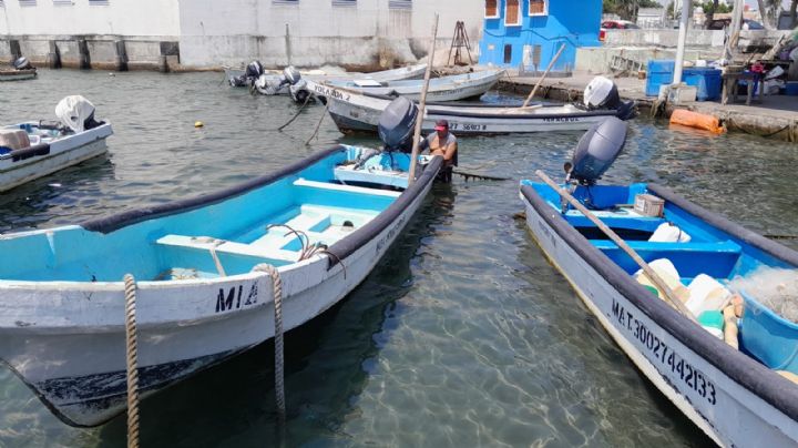 Porque la sierra y huachinango no llegan solos a tu mesa; pescadores trabajan pese ola de calor