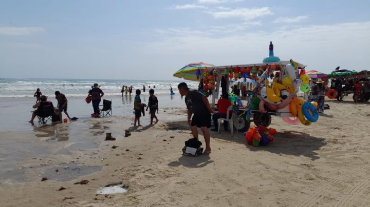 ¿Y mi vuelve a la vida? Este marisco no puede ser comercializado ni consumido por la ola de calor