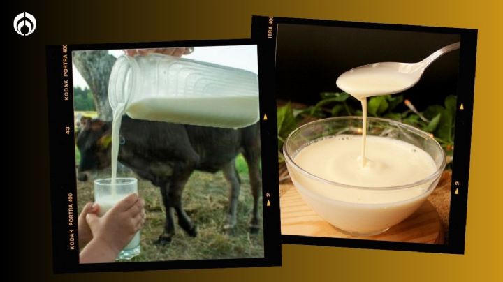 ¿Cuál es la diferencia entre la leche cruda y la leche evaporada?