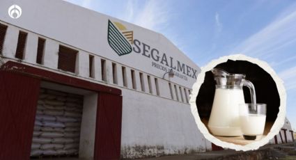 Nuevo escándalo en Segalmex: ahora es por irregularidades en la leche