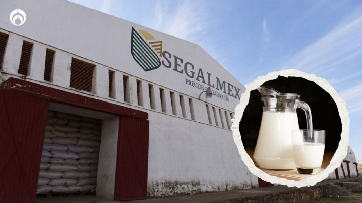 Nuevo escándalo en Segalmex: ahora es por irregularidades en la leche