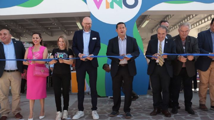 "Vive el vino" en León: industria vitivinícola se ha posicionado como la cuarta a nivel nacional