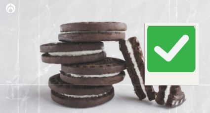 Estas son las mejores galletas de chocolate mexicanas, según Profeco