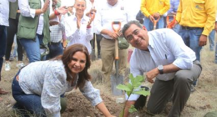 Céspedes Peregrina impulsa la reforestación en Puebla