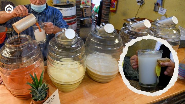 Así puedes diferenciar un pulque adulterado de uno normal