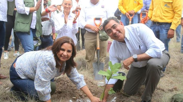 Céspedes Peregrina impulsa la reforestación en Puebla