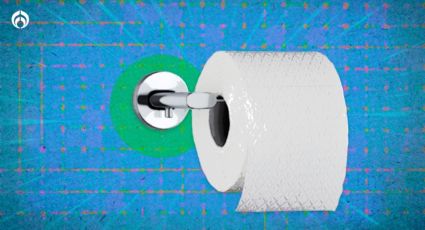 ¡No seas un silvestre! ¿Cómo dejar el rollo de papel de baño correctamente?