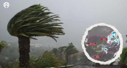 (RUTA EN VIVO) Tormenta Tropical Arlene 'sacudirá' con vientos de 70 km/h a estos estados