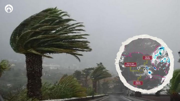 (RUTA EN VIVO) Tormenta Tropical Arlene 'sacudirá' con vientos de 70 km/h a estos estados