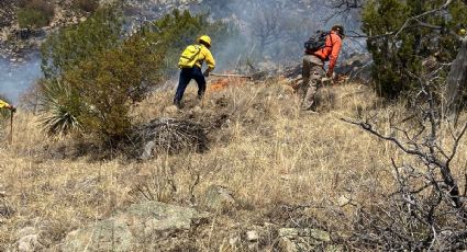 Sonora rompe récord con 89 incendios forestales en lo que va del año