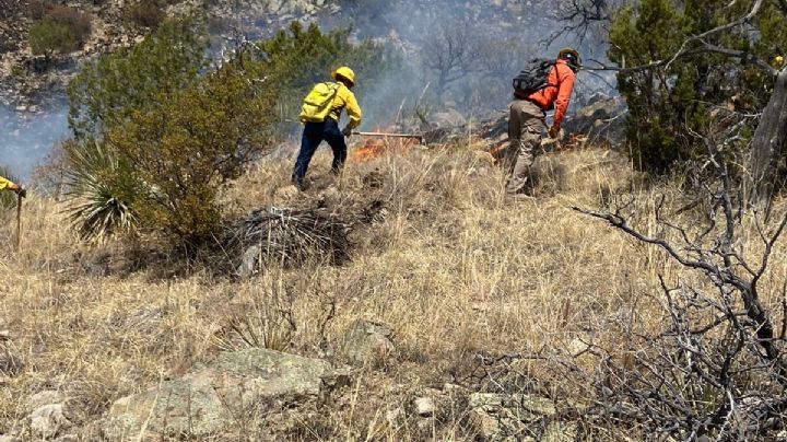 Sonora rompe récord con 89 incendios forestales en lo que va del año