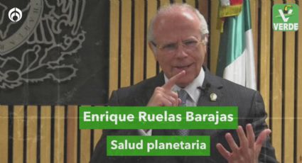 “La salud planetaria depende de sus sistemas naturales”: Enrique Ruelas