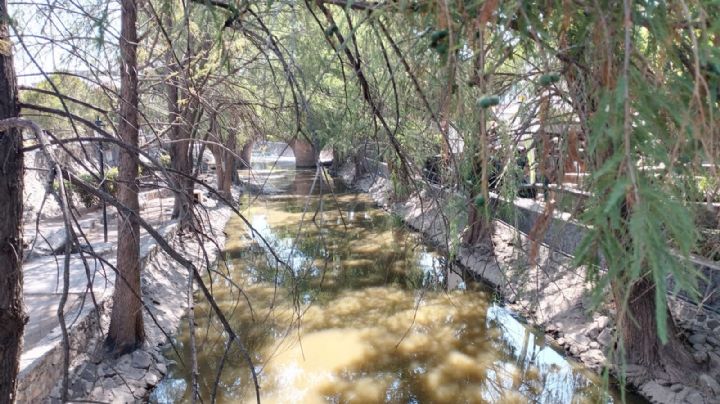 Saneamiento del Río Querétaro se ejecutará con biotecnología de primer nivel; conocela aquí