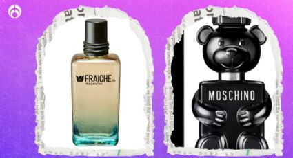 3 perfumes que huelen como Toy Boy de Moschino pero duran más y cuestan menos de 500 pesos