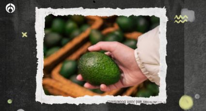 La sabiduría de la abuela: ¿Cómo saber para cuándo ya está maduro un aguacate?