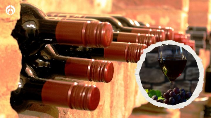 5 vinos tintos perfectos para principiantes, según expertos