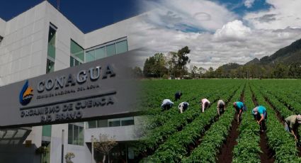 Hackeo en Conagua deja sin apoyos a 2 millones de campesinos de Guanajuato