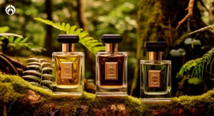 Los 3 mejores perfumes elegantes con toques amaderados para hombres