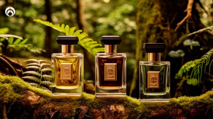 Los 3 mejores perfumes elegantes con toques amaderados para hombres