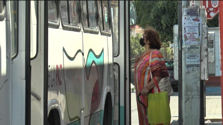 Modernización del transporte público en La Paz contribuirá reduciendo la contaminación del aire