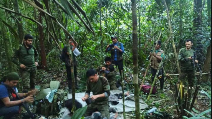 Hallan con vida a los cuatro niños perdidos hace 40 días tras accidente aéreo en Colombia