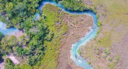 El Estero de Chac: ¿Por qué SEDENA suspendió obras del Tren Maya en esta zona?