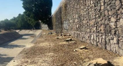 Otorgan suspensión provisional a obra del Malecón, tras tala indiscriminada en León