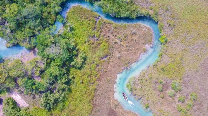 El Estero de Chac: ¿Por qué SEDENA suspendió obras del Tren Maya en esta zona?