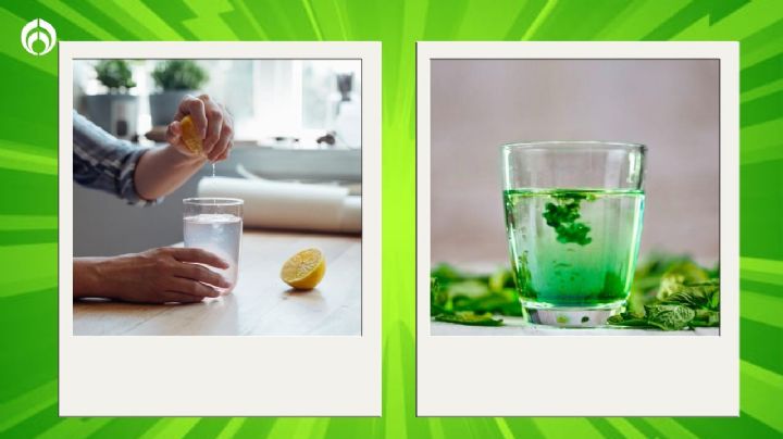 Agua de limón vs. agua de clorofila en ayunas: ¿Cuál tiene más beneficios?