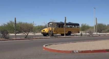 ¡Es un hecho! La Paz modernizará el transporte público: camiones contarán con A/C y mayor seguridad