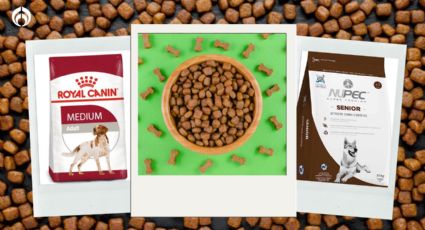 Estas son las croquetas para perritos con más proteína que Royal Canin y Nupec, según Profeco