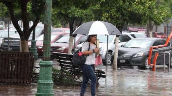 Lluvias en Sonora: estos son los pronósticos para el fin de semana en la entizad