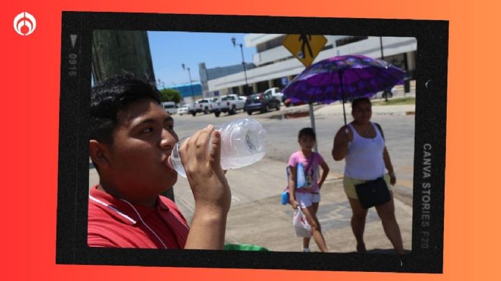 ¡Ya viene la canícula 2023! Estos serán los primeros estados afectados