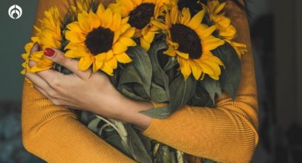 ¿Te gustan los girasoles? Este secreto revela de tu personalidad