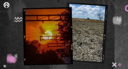 Esta es la diferencia entre canícula y onda de calor, según expertos