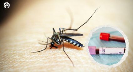 ¡Por eso te pican! Este es el tipo de sangre que más atrae a los mosquitos