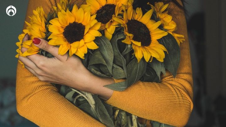 ¿Te gustan los girasoles? Este secreto revela de tu personalidad