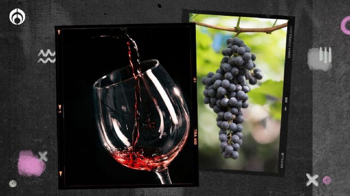 Merlot: ¿qué tipo de vino es y cómo es su sabor?