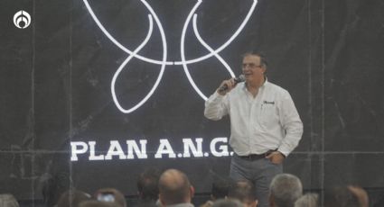 En Guadalajara, Marcelo Ebrard aseguró que "no debemos resignarnos nunca frente a la inseguridad”