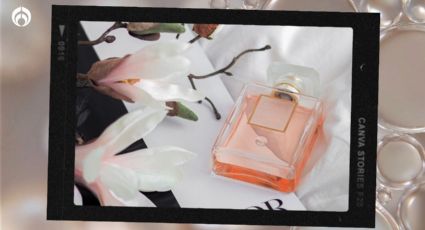 Los 5 perfumes Dior que usa la clase alta y están a un super precio en Liverpool