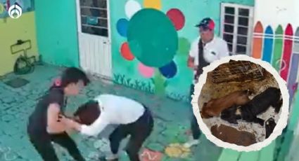 Abren investigación contra pareja que golpeó a maestra en Cuautitlán… ahora por maltrato animal