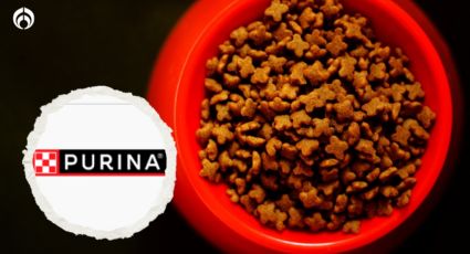 Estas son las mejores croquetas para perro de Purina, según Profeco 