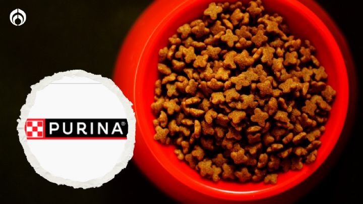 Estas son las mejores croquetas para perro de Purina, según Profeco 